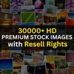 Affordable Royalty-Free Stock Images Bundle – Get It Now - Image 3