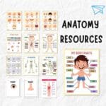 Get Unlock 15000+Kids' Worksheet Bundle Your Kids Preschool Worksheet - Image 3