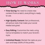 600 Pink Aesthetic Faceless Reels, Pink MRR Photo Post, Faceless Digital Marketing, Master Resell Rights, MRR/PLR, Canva Reels Bundle - Image 7